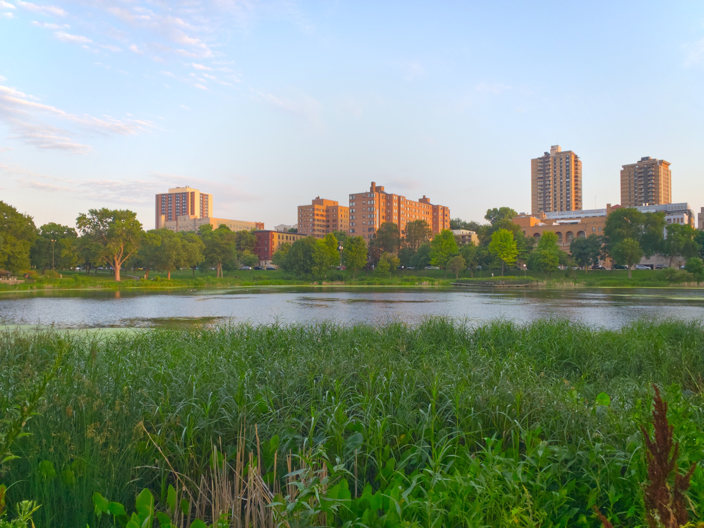 Loring Park Neighborhoods Element Commercial Real Estate